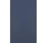 An Irishman In The Iron Brigade