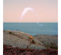 Bada Bing – An Overview on Phenomenal Nature – CD