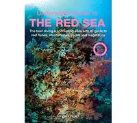 An Underwater Guide to the Red Sea