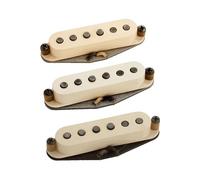 AN2808 - Antiquity II Strat Surfer Kit Creme Simples / Single coils