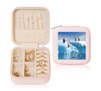 ANABPRMA Pingouins On The Iceberg - Boîte à bijoux de voyage carrée pour femme - Petit organisateur de bijoux en cuir avec fermeture éclair et miroir - Étui portable