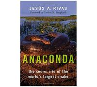 Anaconda