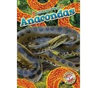 Anacondas