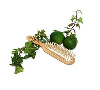 Anaé Brosse Fine Hêtre ciré Picots en Bois