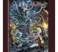 Anal Stabwound - Reality Drips Into the Mouth of Indifference