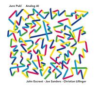 Analog Ai Lp) / Jure Pukl