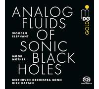Analog Fluids of Sonic Black Holes