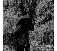 Analog Fluids of Sonic Black Holes