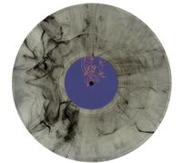 Analog Roland Orchestra - Roden Crater Vision