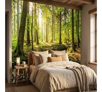 ANALTIRCE Lumière Soleil Baigne Forêt Papier peint Panoramique intissé