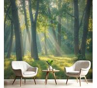 ANALTIRCE Papier Peint Intissée Forêt Naturelle Et Dense 200×150cm Papier Peint Panoramique, Lumière Du Soleil Brume XL Tableaux Décoration Murale pour Salon, Chambre, Décor Fond TV, Vert