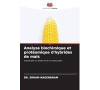 Analyse biochimique et protéomique d'hybrides de maïs