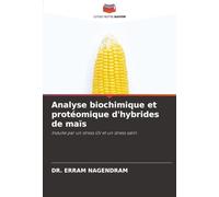 Analyse biochimique et protéomique d'hybrides de maïs: Induite par un stress UV et un stress salin