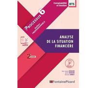 Analyse De La Situation Financière Bts Cg 2e Année - Processus 6 Ateliers Professionnels