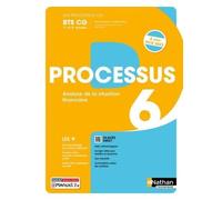 Processus 6 - Analyse de la situation financière - BTS CG 1re et 2e années - Coll. Les processus CG