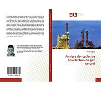 Analyse des cycles de liquéfaction du gaz naturel