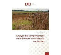 Analyse du comportement du blé tendre sous labours contrastes - Abdenour Belagrouz - Universitaires Europeennes - broché - Livre