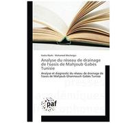 Analyse Du Réseau De Drainage De L'oasis De Mahjoub Gabès Tunisie