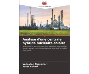 Analyse d'une centrale hybride nu ire-solaire: Analyse de la performance énergétique et énergétique d'une centrale hybride nu ire-solaire avec stockage thermique