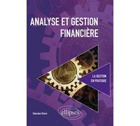 Analyse et gestion financière - Sébastien Ristori - Ellipses - broché - Essai