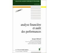 Analyse financière et audit des performances