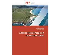 Analyse Harmonique En Dimension Infinie