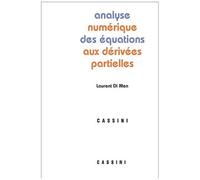 Analyse Numérique Des Équations Aux Dérivées Partielles