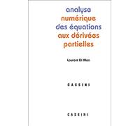 Analyse numérique des équations aux dérives partielles