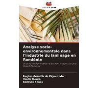Analyse Socio-Environnementale Dans L'industrie Du Laminage En Rondônia