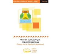 Analyse sociologique des organisations