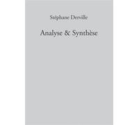 Analyse & Synthèse - Stéphane Derville - Bookelis - broché - Roman
