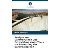 Analyse von Dammbrüchen und Entwicklung eines Tools zur Bewertung der Dammsicherheit
