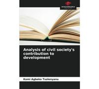 Analysis Of Civil Society's Contribution To Development