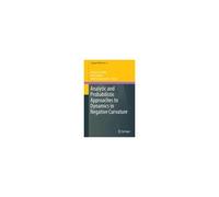 Analytic And Probabilistic Approaches To Dynamics In Negative Curvature