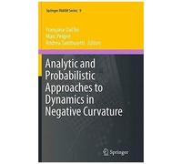 Analytic And Probabilistic Approaches To Dynamics In Negative Curvature