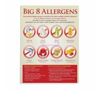 Anaphylaxis Safety Information Poster Canvas Wall Art Severe Allergy Action Chart for Clinic EpiPen Training Decor(Unframed,12x18inch(30x45cm))