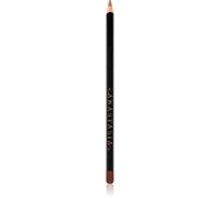 Anastasia Beverly Hills Lip Liner crayon contour lèvres teinte Cool Brown 1,49 g