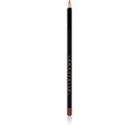 Anastasia Beverly Hills Lip Liner crayon contour lèvres teinte Deep Taupe 1,49 g