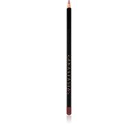 Anastasia Beverly Hills Lip Liner crayon contour lèvres teinte Dusty Rose 1,49 g