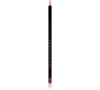 Anastasia Beverly Hills Lip Liner crayon contour lèvres teinte Liner Mocha 1,49 g