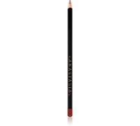 Anastasia Beverly Hills Lip Liner crayon contour lèvres teinte Sandstone 1.49 g