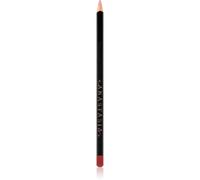 Anastasia Beverly Hills Lip Liner crayon contour lèvres teinte Sunbaked 1,49 g