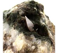 Anatase 254,0 carat(s)