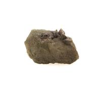 Anatase + Quartz. 35.4 Ct Massif De La Lauzière, France. Rare.