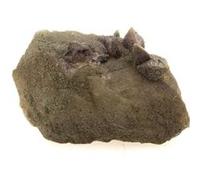 ANATASE + QUARTZ - Pierre Naturelle en Provenance de la France, Massif de la Lauzière, Savoie, Auvergne-Rhône-Alpes Rare Minéral de Collection, Certificat d'Authenticité Inclus 35.4 ct - 28 x 18 x 15 