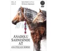 Anatolian Horse - Anadolu Sahnesinde At