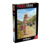 Puzzle 1000 pièces - Gitan américain multicolore