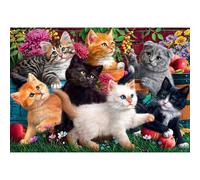 ANATOLIAN Puzzle Divergent Kittens 260 pièces