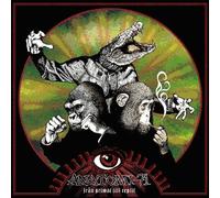 Anatomi-71 - Fran Primat Till Reptil [Import]