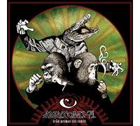 Anatomi 71 - Fran Primat Till Reptil [Import]